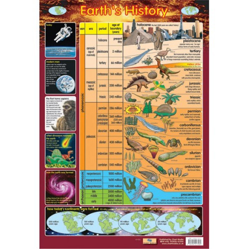 *NEW* Educational Children's History of the Earth Wall Poster teaching aid 